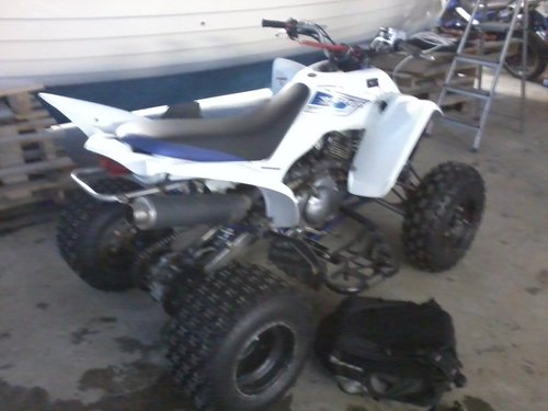 2011-02-13 15.19.16.jpg